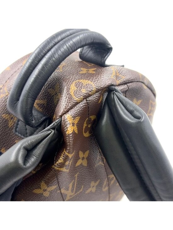 Louis Vuitton Palm Springs PM Monogram Leather Brown Black Backpack Gold main image 15